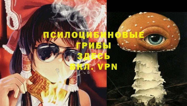 ПСИЛОЦИБИНОВЫЕ ГРИБЫ Володарск