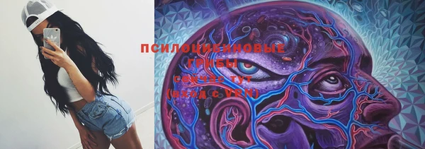ПСИЛОЦИБИНОВЫЕ ГРИБЫ Володарск