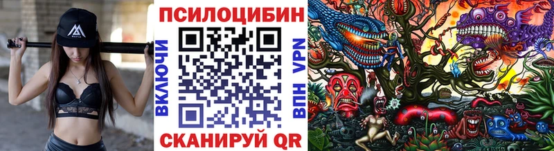 kraken онион  Яровое  Псилоцибиновые грибы прущие грибы  закладки 