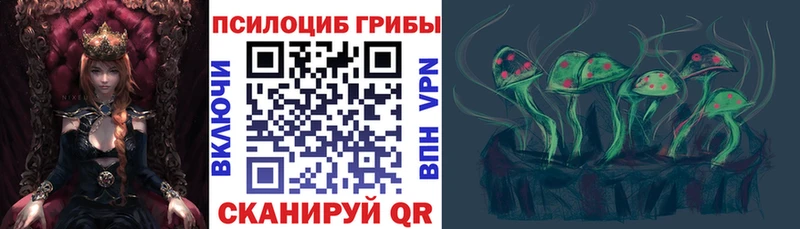 Псилоцибиновые грибы Cubensis Яровое