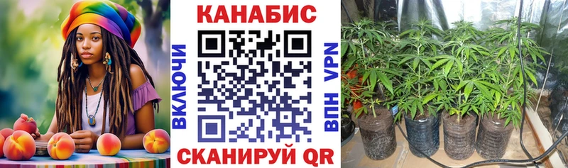 купить Яровое Бошки Шишки White Widow
